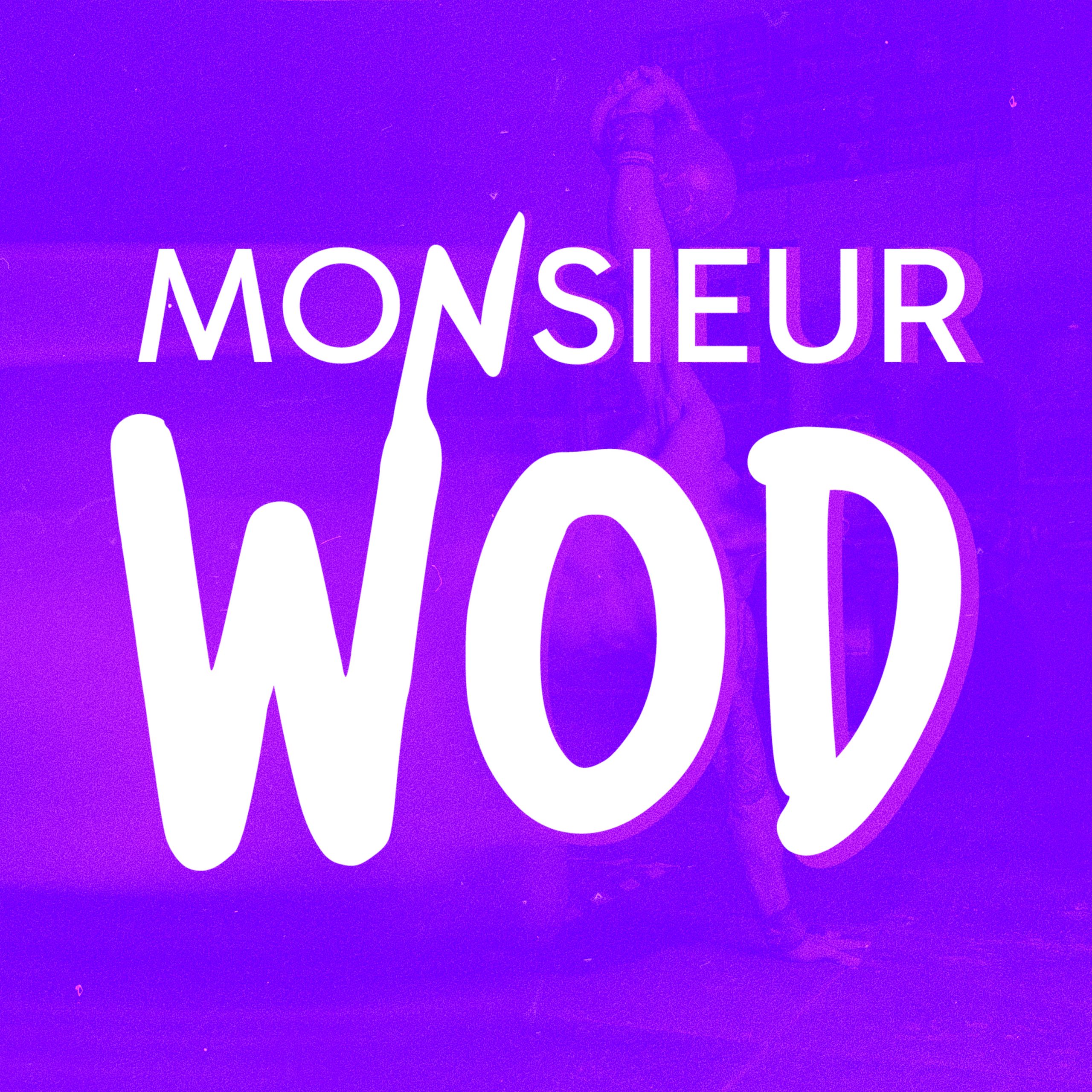 Monsieur WOD - identité graphique logo