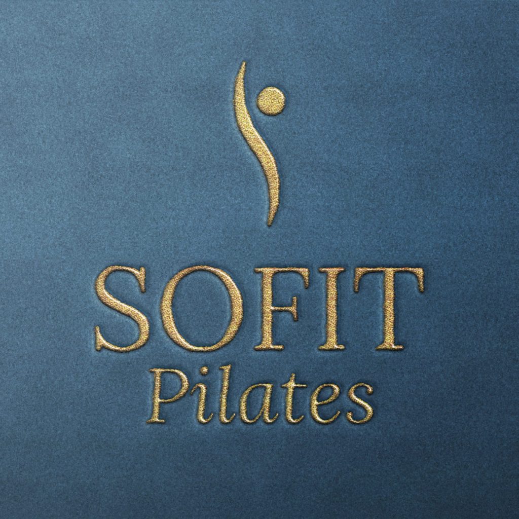 SOFIT - identité graphique